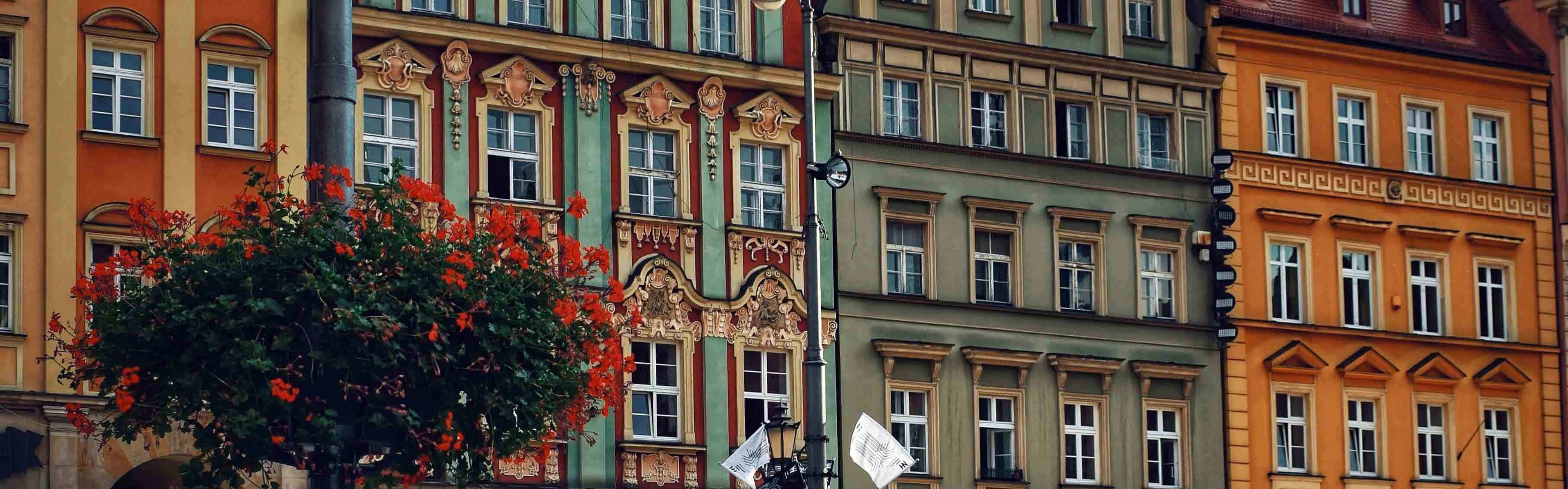 Courses background Wrocław